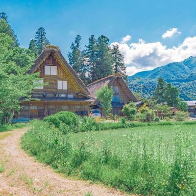 im电竞官方官网app下载